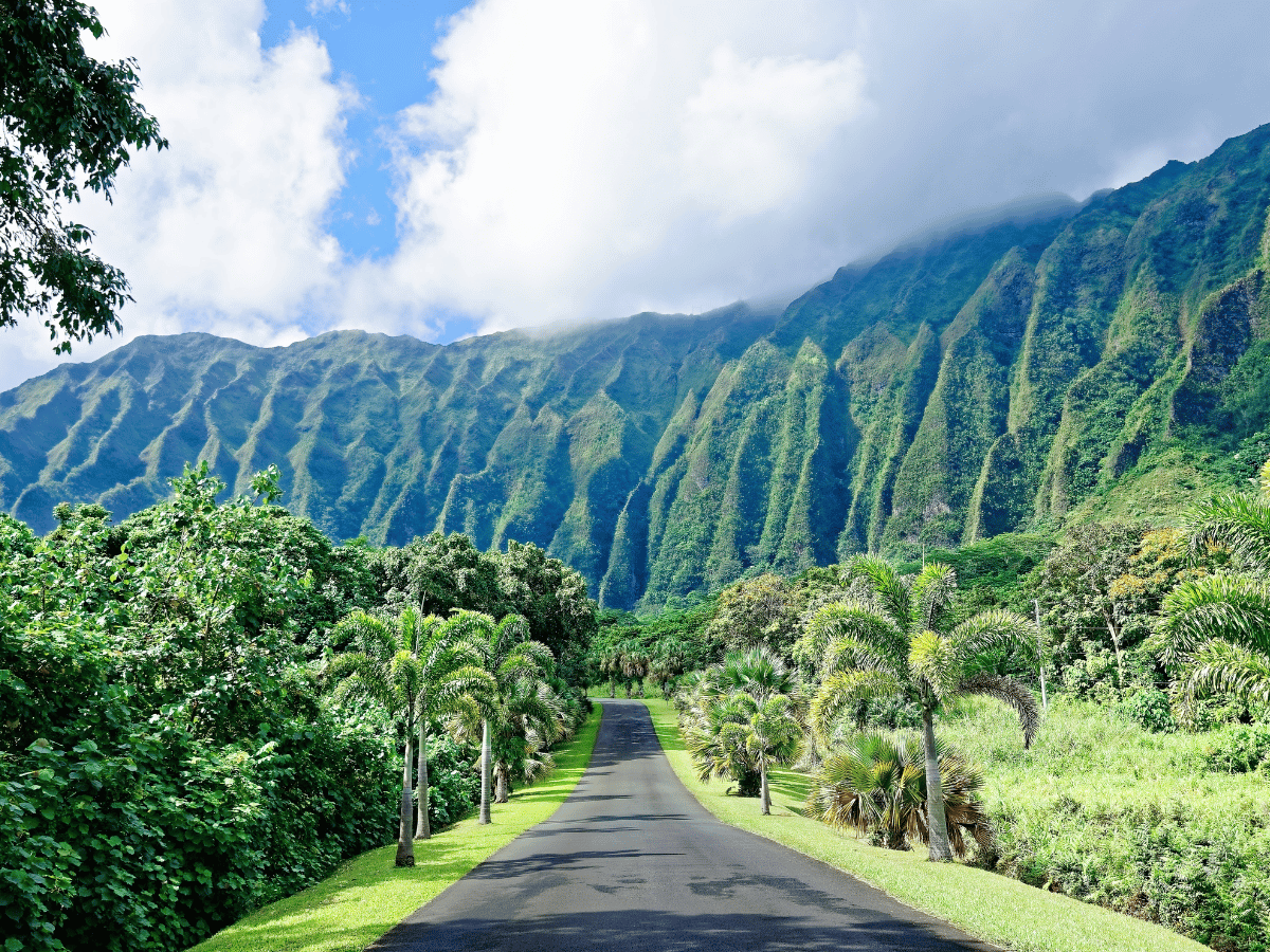 Hawaii Travel Tips