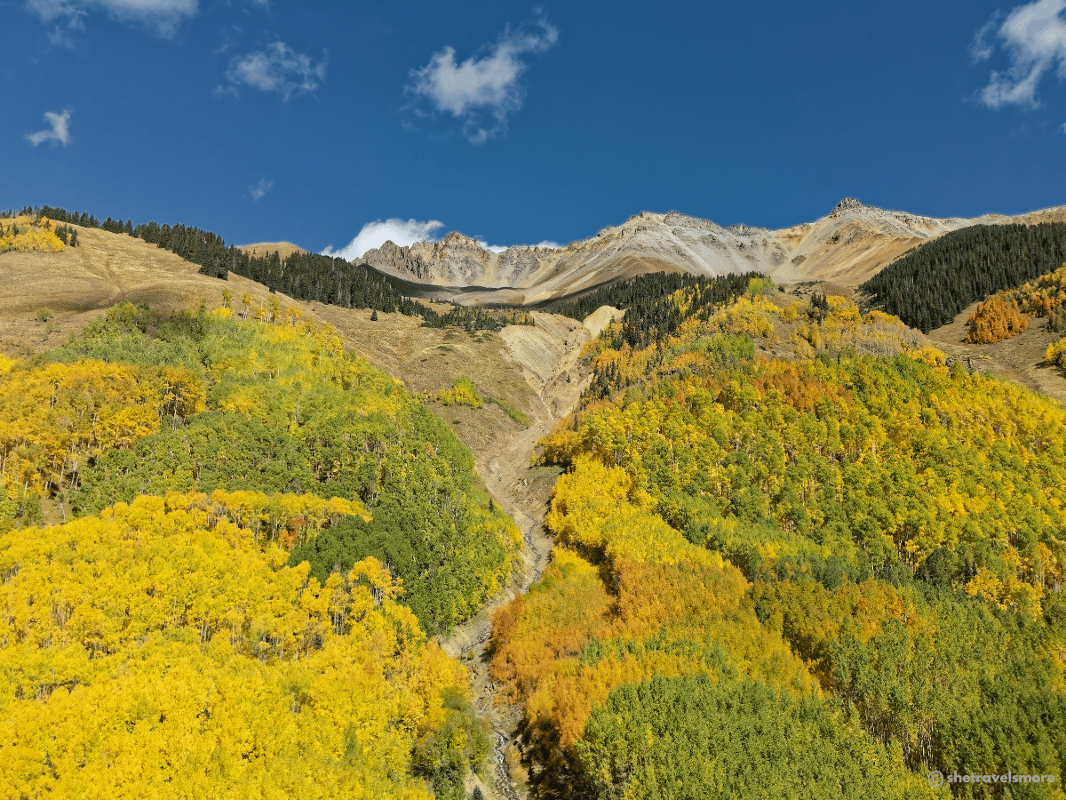 Ophir fall foliage
