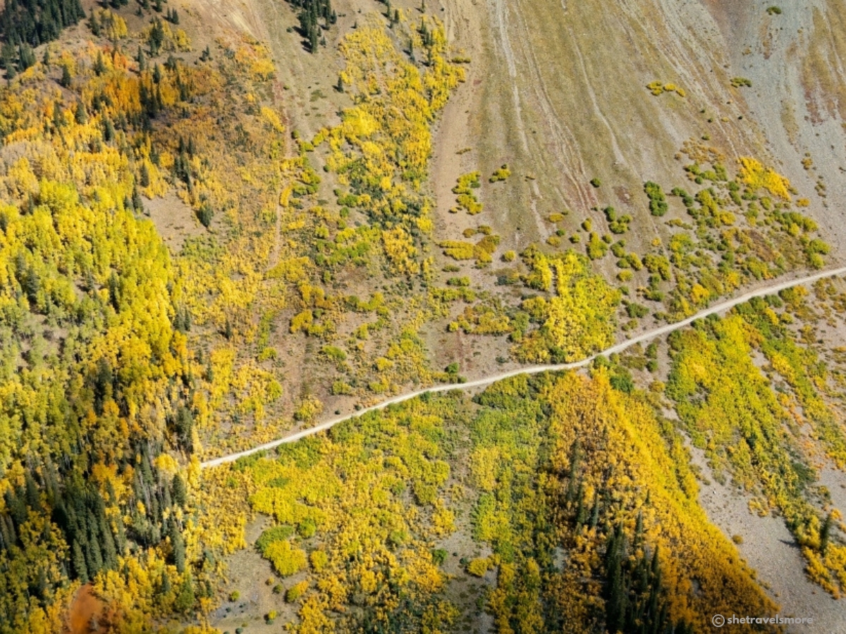 Ophir fall foliage