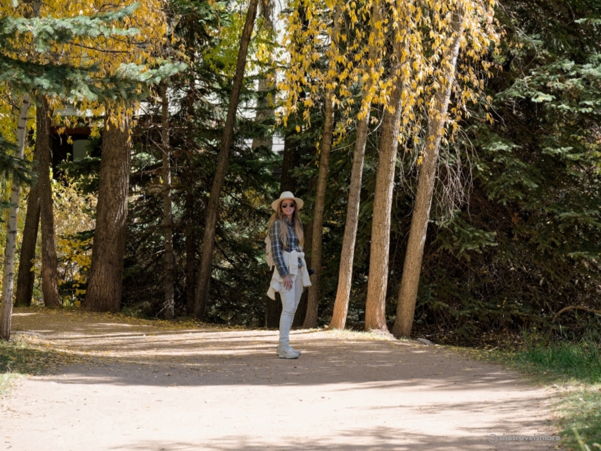 Telluride fall foliage