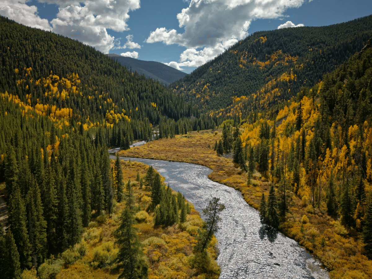 Taylor River Colorado Fall