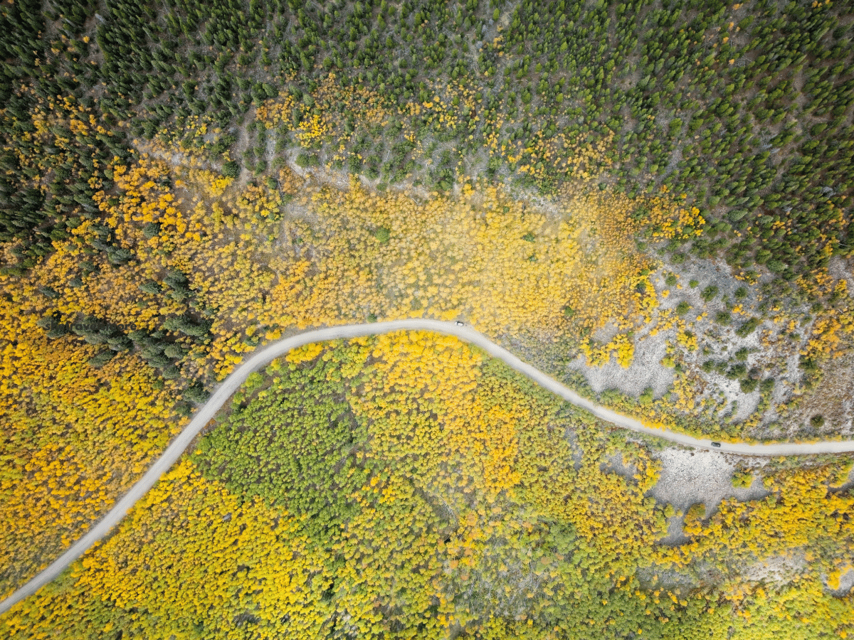 Boreas Pass Colorado