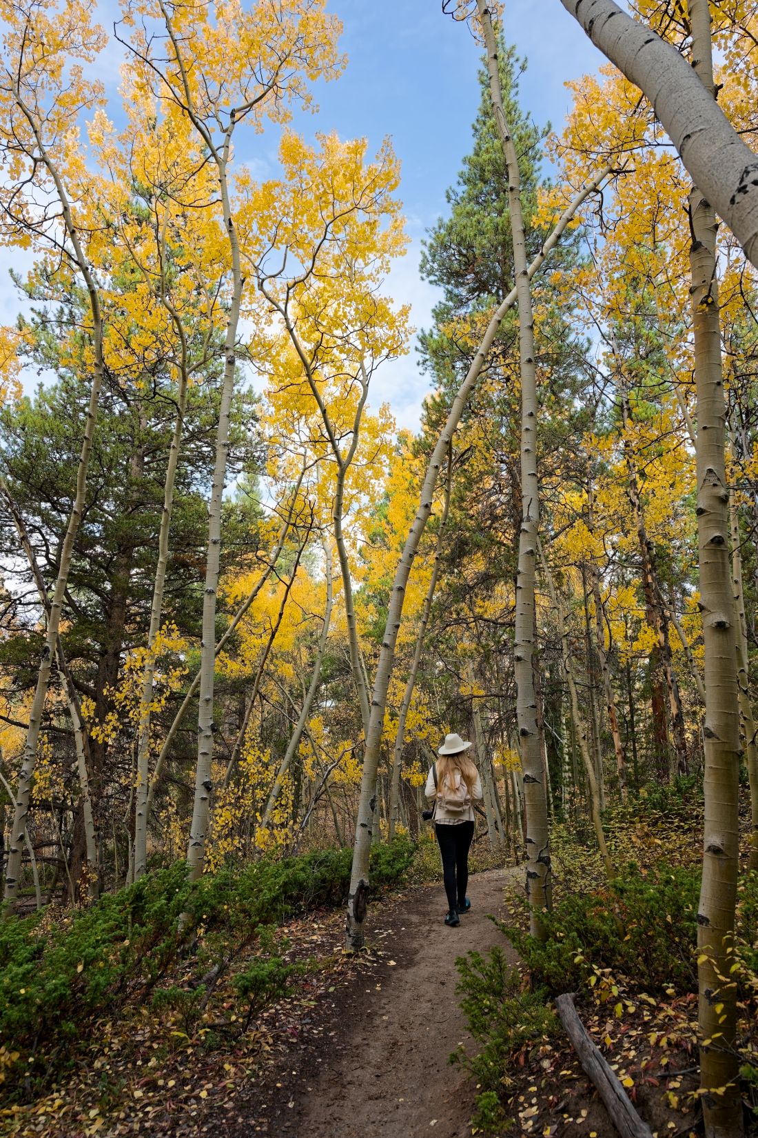 Aspen Alley Breckenridge