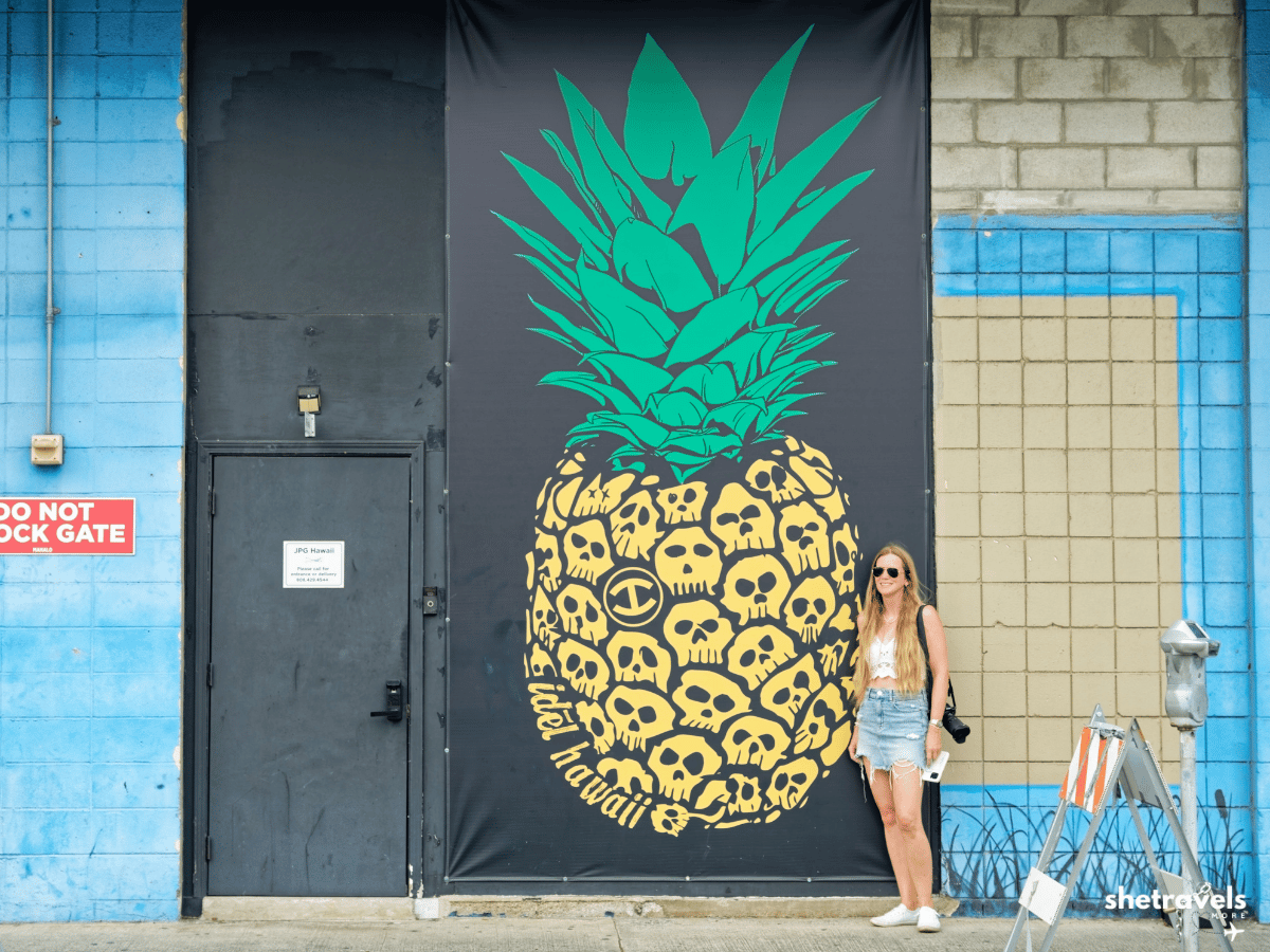 Oahu photo 11