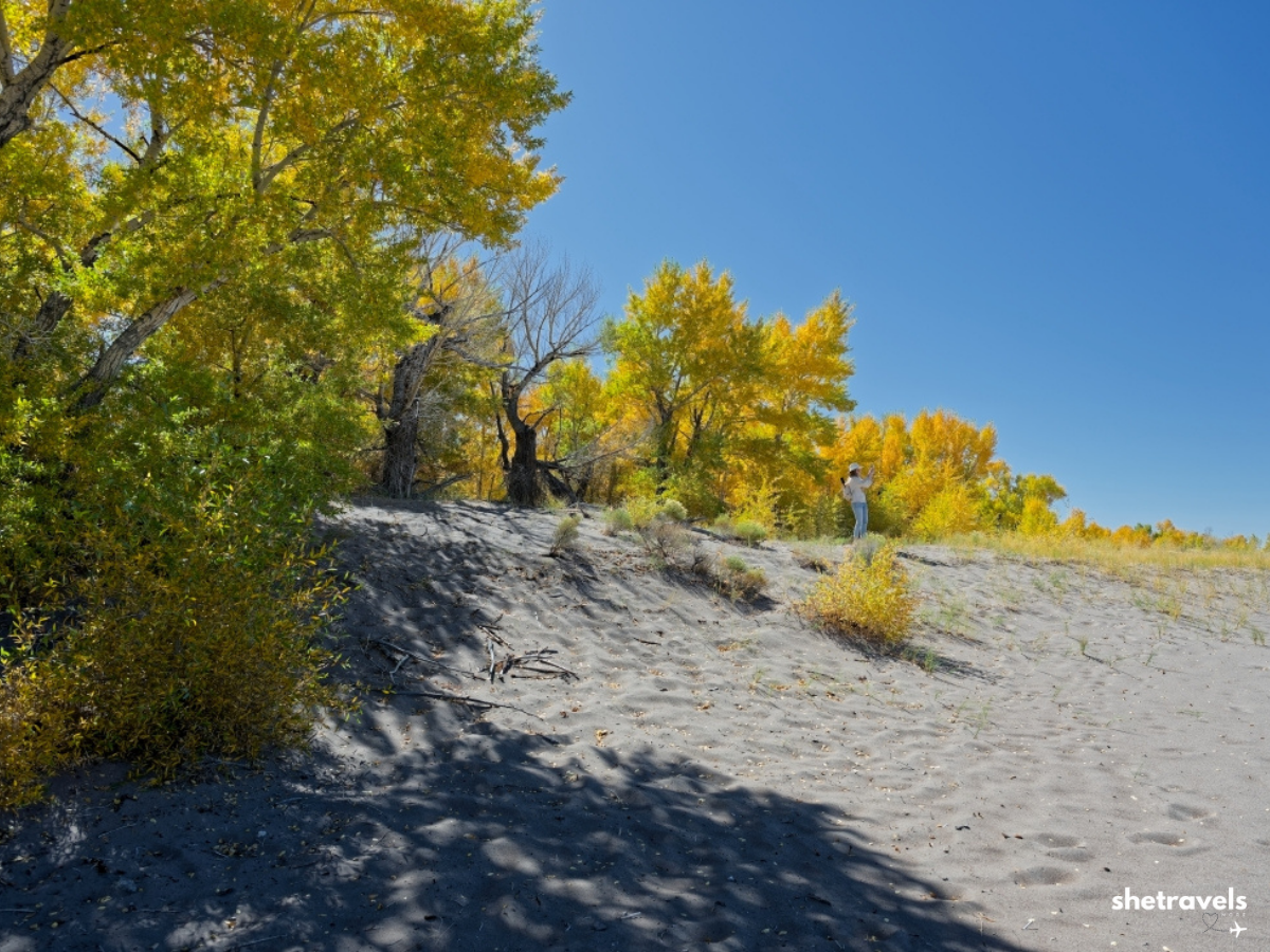Great Sand Dunes National Park
