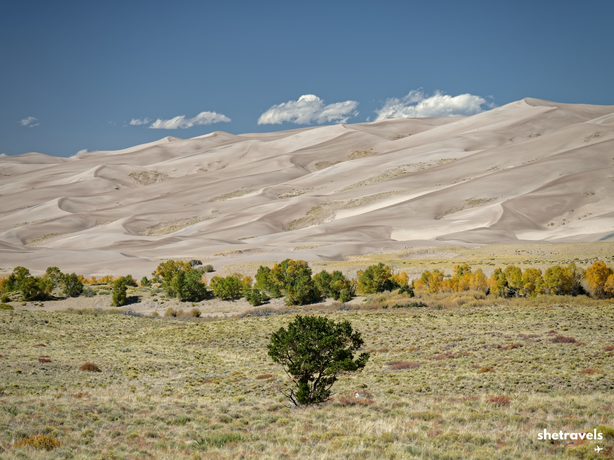 Great Sand Dunes National Park