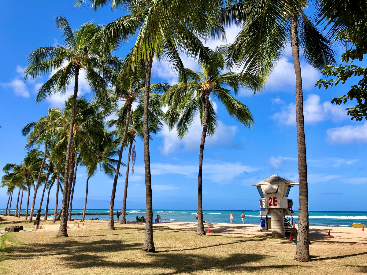 Waikiki Oahu May