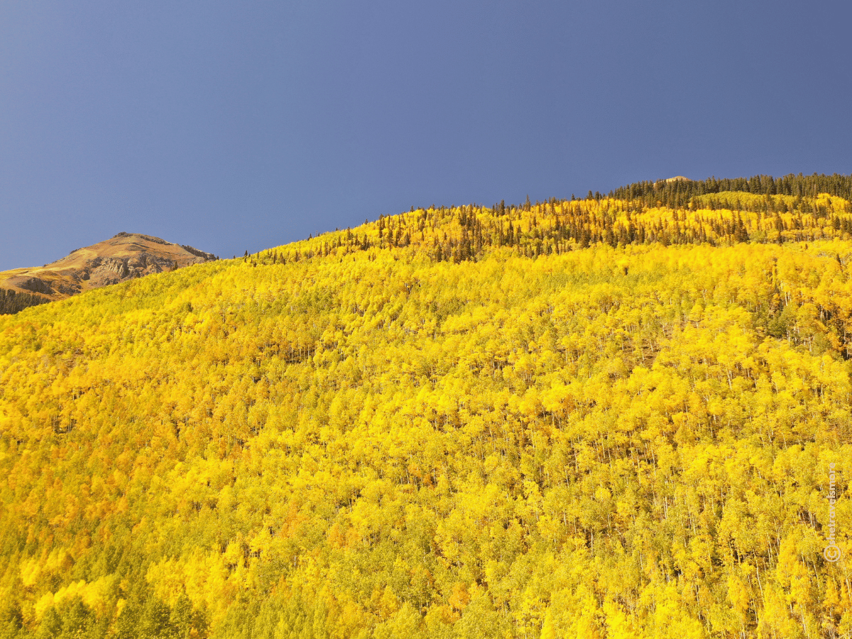 Boreas Pass Colorado