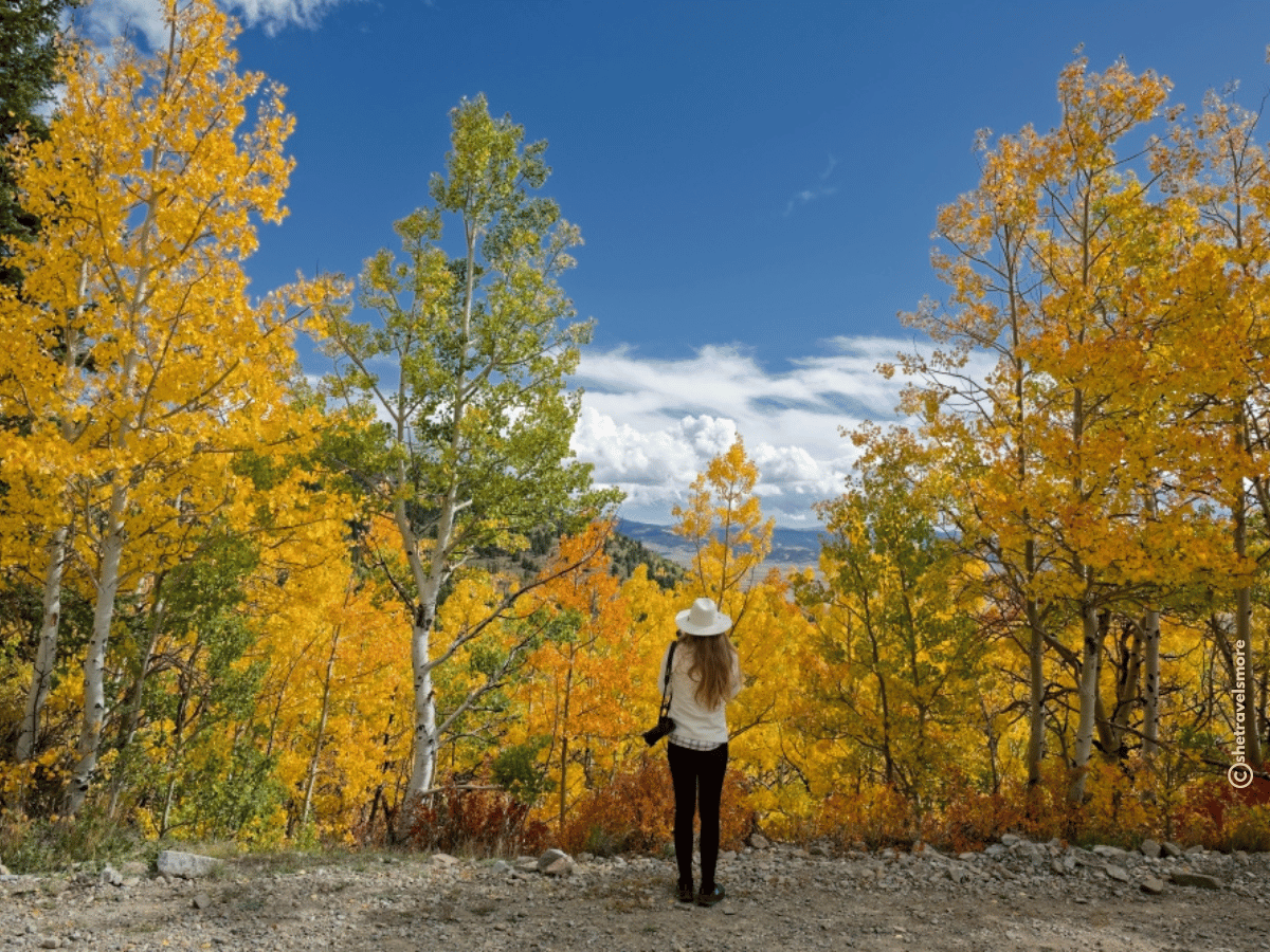 Boreas Pass Colorado