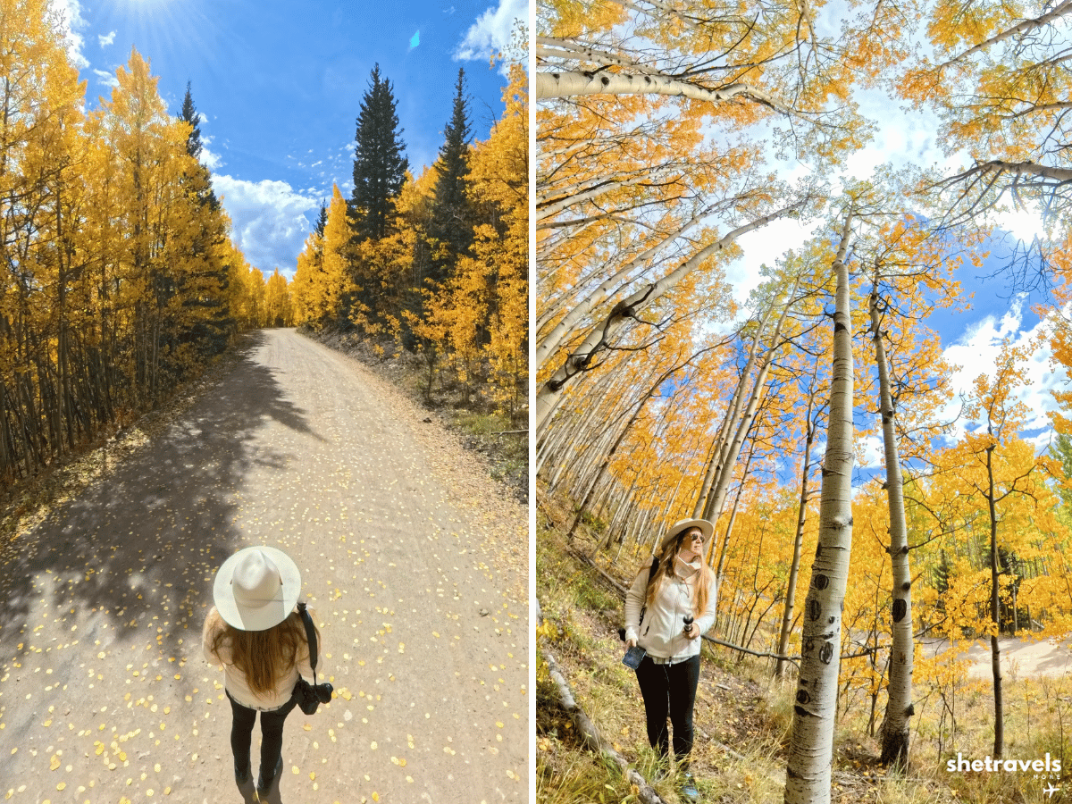 Boreas Pass Colorado