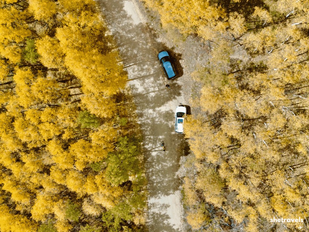 Boreas Pass Colorado